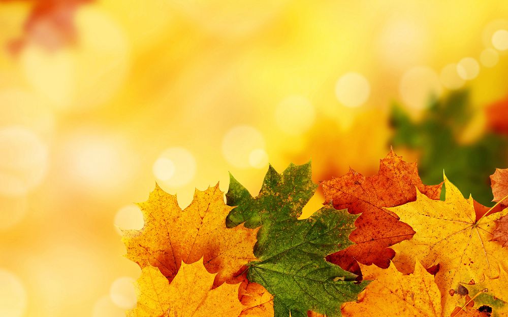 Сенбіге арналған ауа-райы болжамы