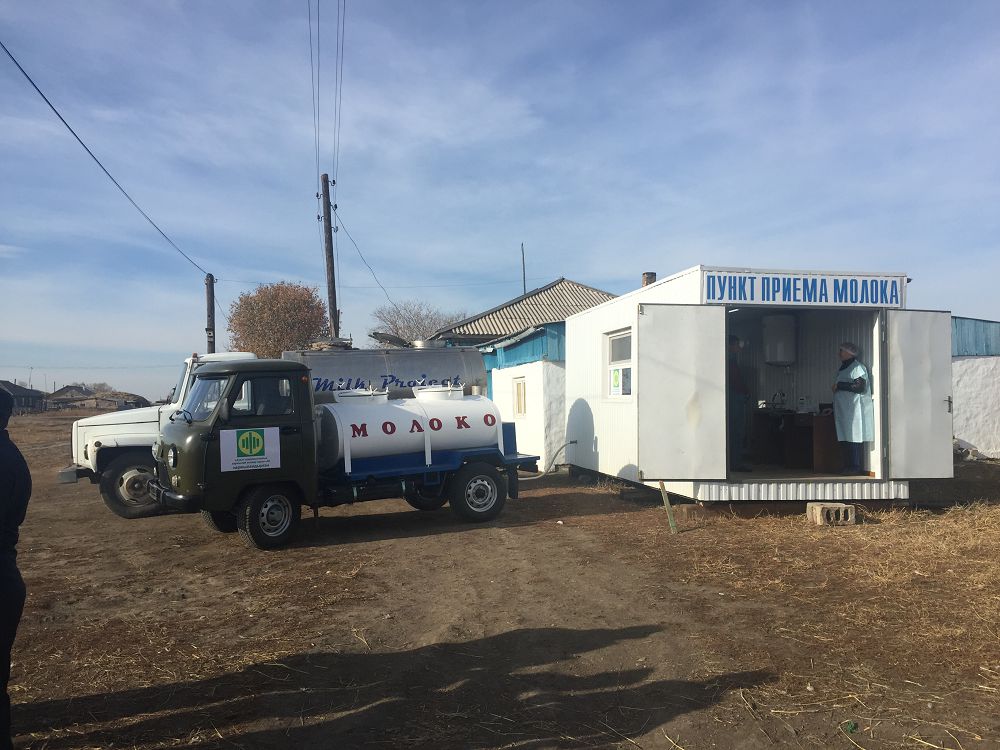 Зерендіде кооператив зауыттарға 500 тонна сүт тапсырды