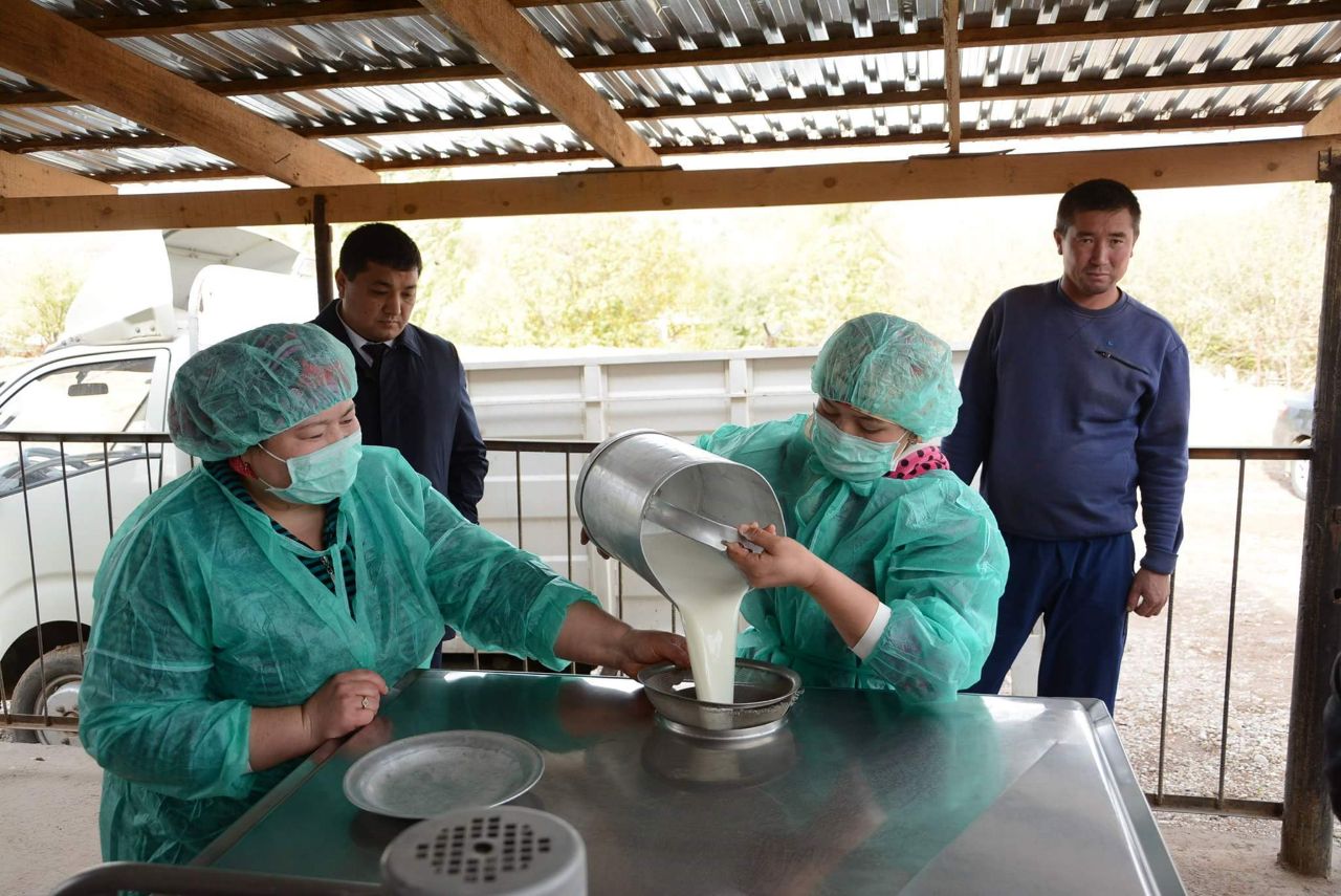 Қазығұрттық шаруалар сүт өнімін екі есеге арттырмақ