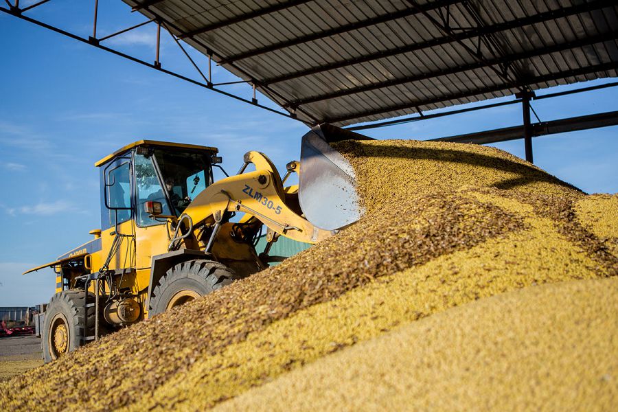 Шаруалар астықтарын элеваторларға өткізе алмай жатыр