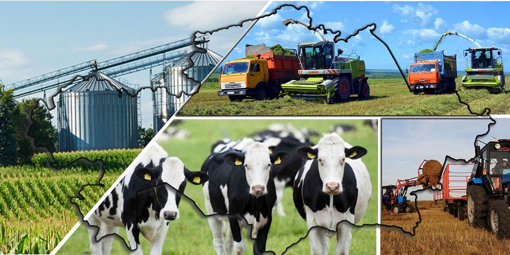 Аграрлық саланы дамыту карталары халықты арзан азық-түлікпен қамтамасыз ете ала ма?