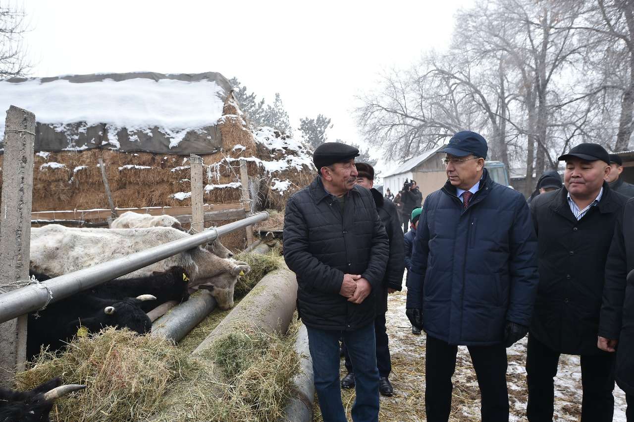 Ж.Түймебаев жұмыс сапарымен Арыс қаласы, Саналы ауылына борды