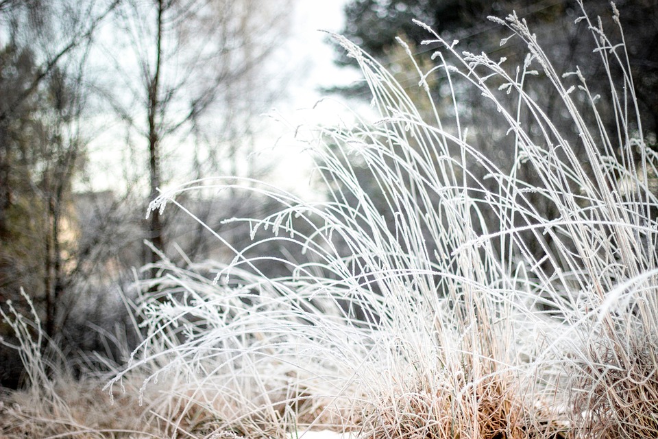 Еліміздің басым бөлігінде ауа райы құбылмалы болады