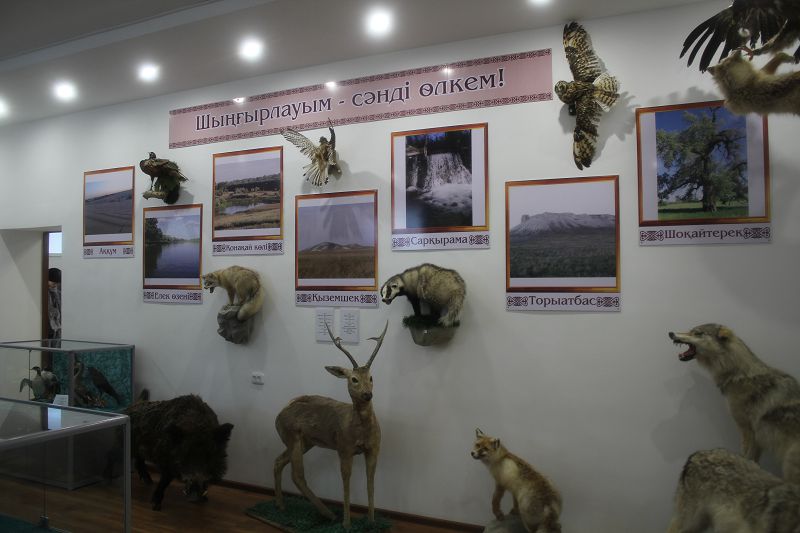 Шыңғырлауда жаңа музей ашылды