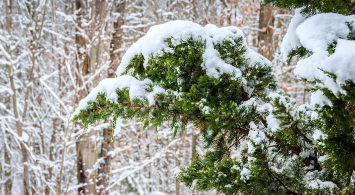 Синоптиктер аяздың беті қашан қайтатынын айтты