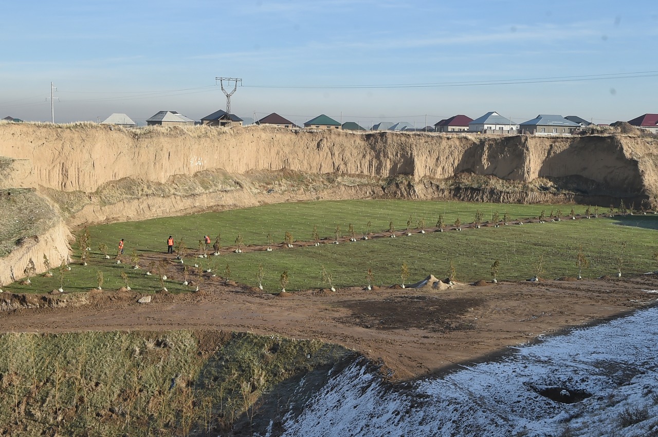 ОҚО-да 1 млн 990 мың түп көшетті тегін тарату  жоспарлануда