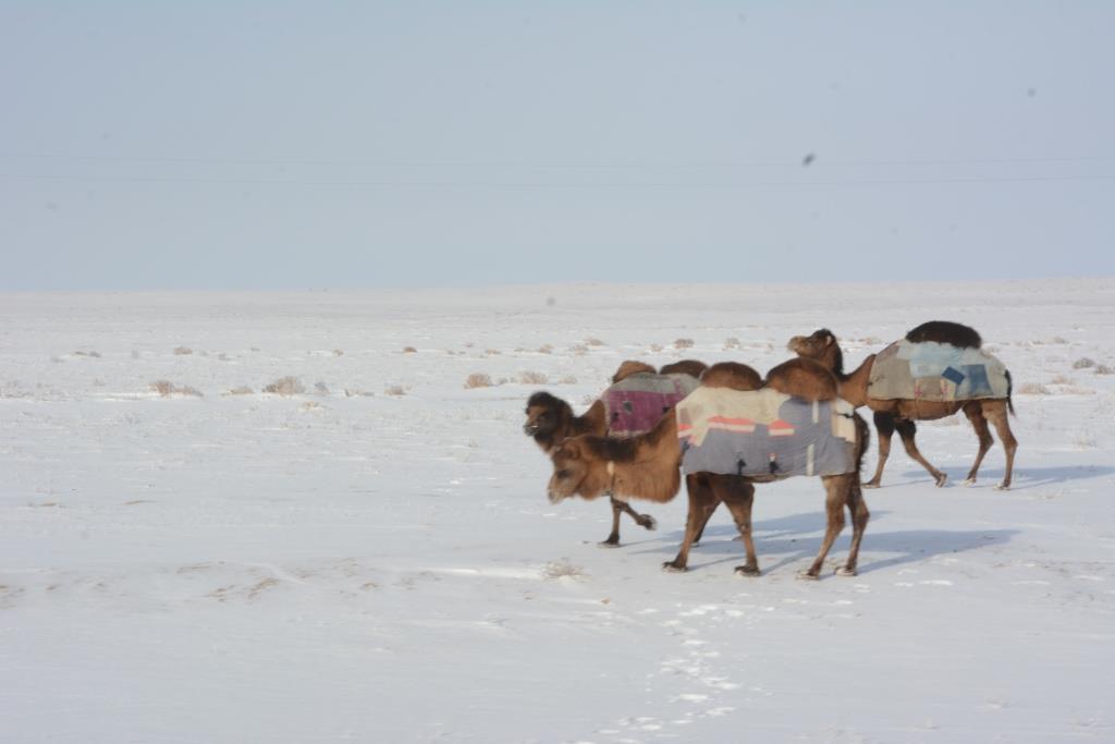 Құдық қазу жұмыстарына кеткен шығынның 80 пайызы қайтарылады