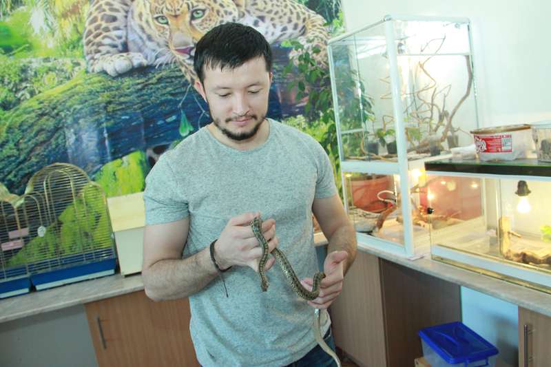 Экзотикалық жәндіктер әлемі
