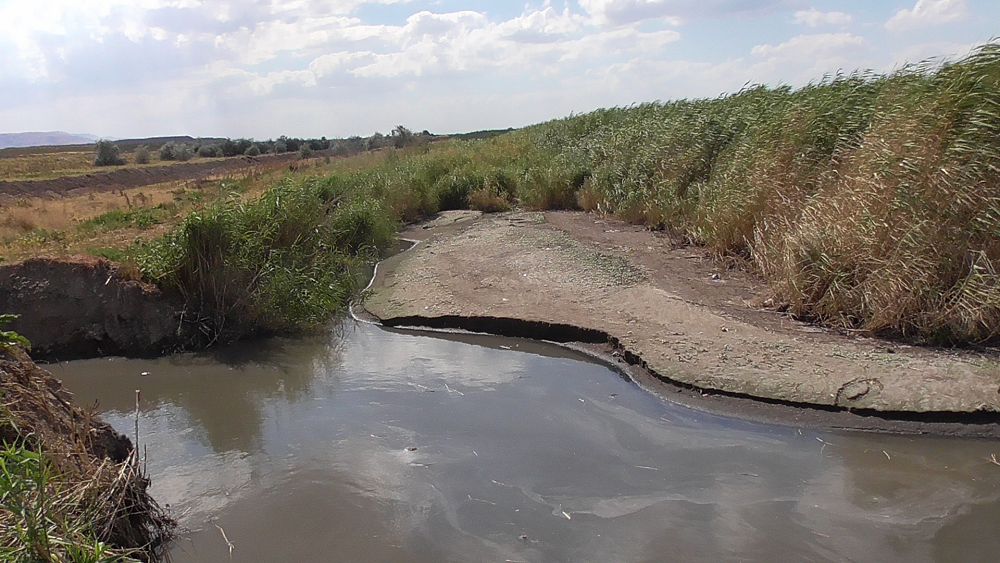 Жамбыл облысы. Шайынды судың шырғалаңы