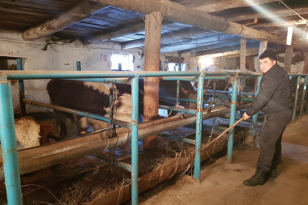 16 мал бордақылау алаңы бар елді мекен