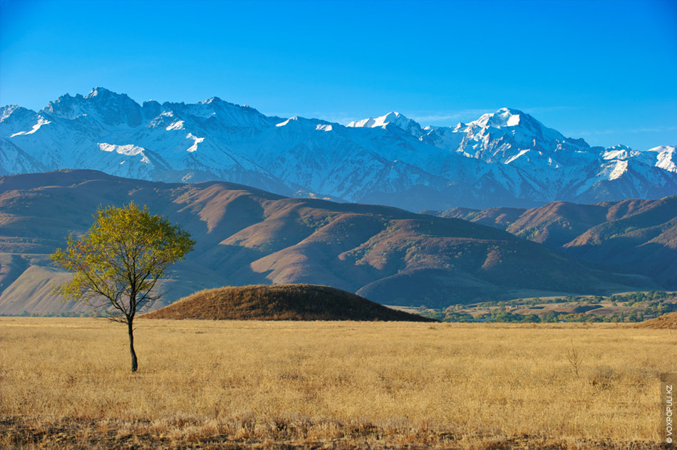 Сақ ханзадасының сүйегі қайда сақталған?