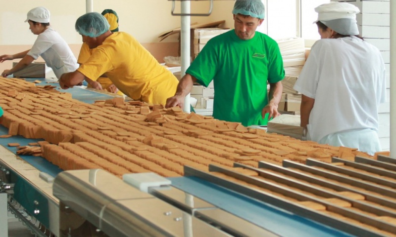 Әлия Бекқожиева: Мемлекет берген мүмкіндік
