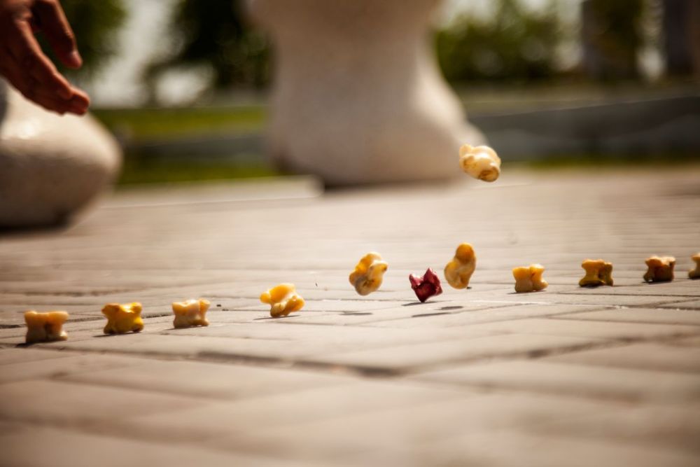 Үржар колле­джі­нде асық атудан сайыс өтті