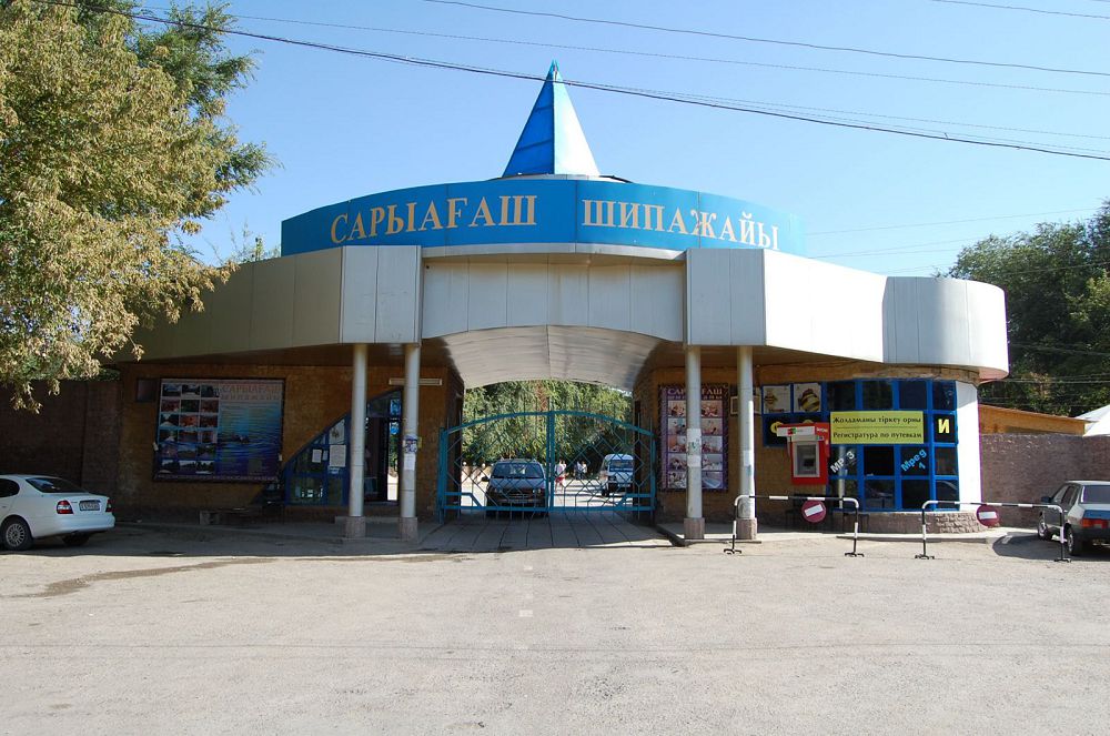 Сарыағаш жойылып барады