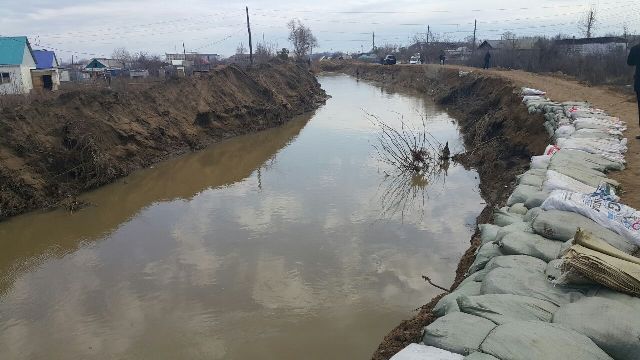 «Ұйқышыл» әкім ұрыс естіді
