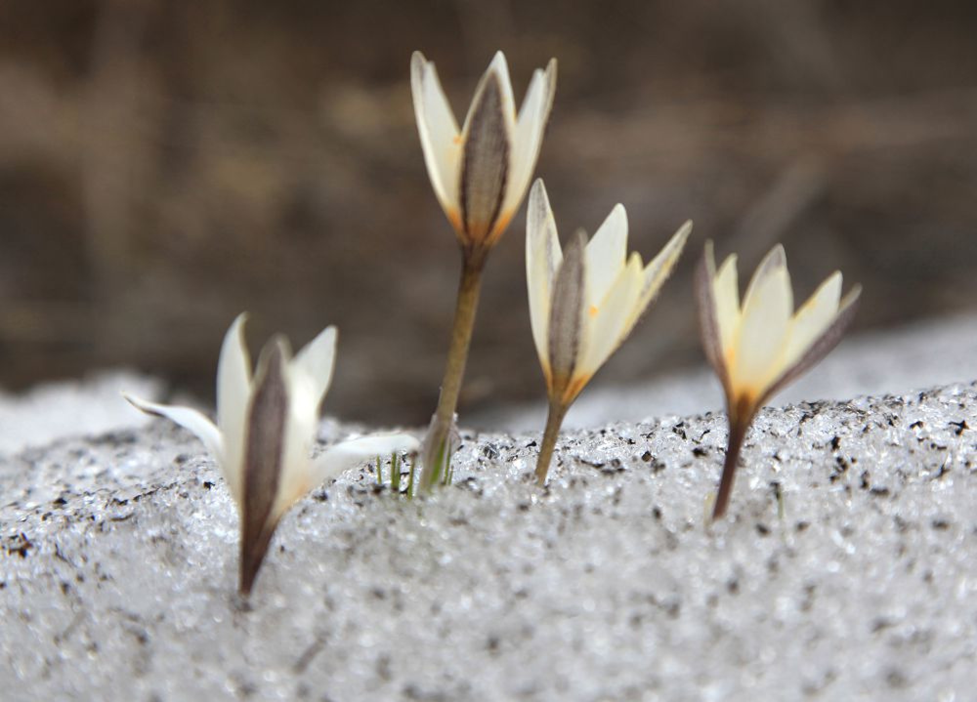 14 сәуірге арналған ауа райы
