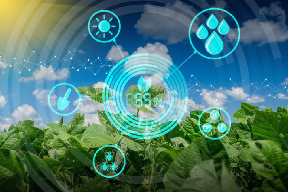 ОҚО-да баламалы қуат көздері көбеюде
