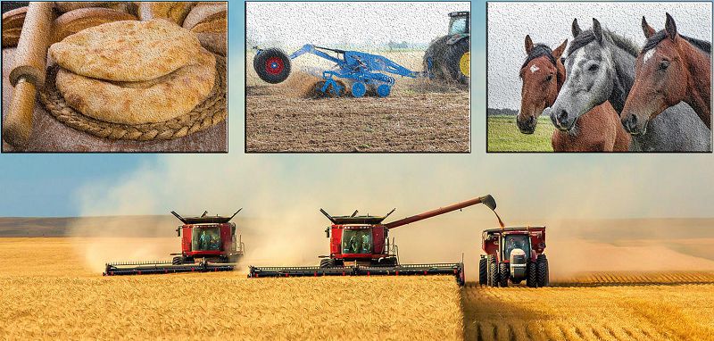 Жақсы өмір сүру – әр ауылдың қалауы