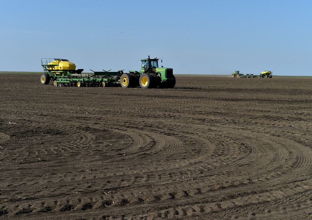 Солтүстіктен ескен жылы леп
