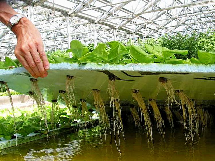  Қазақстанның аграрлық ғылымының дамуына арналған баспасөз конференциясы өтті