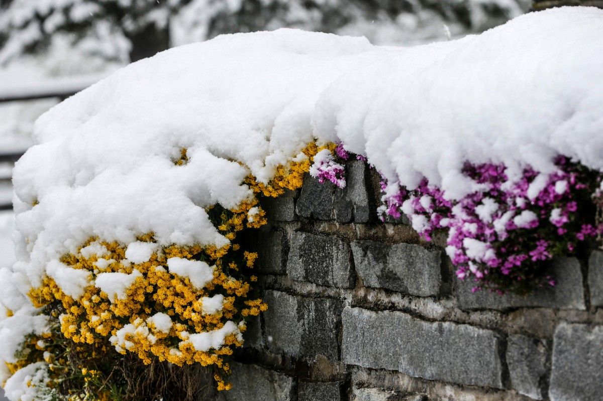 Ақмола облысында қар жаууы ықтимал