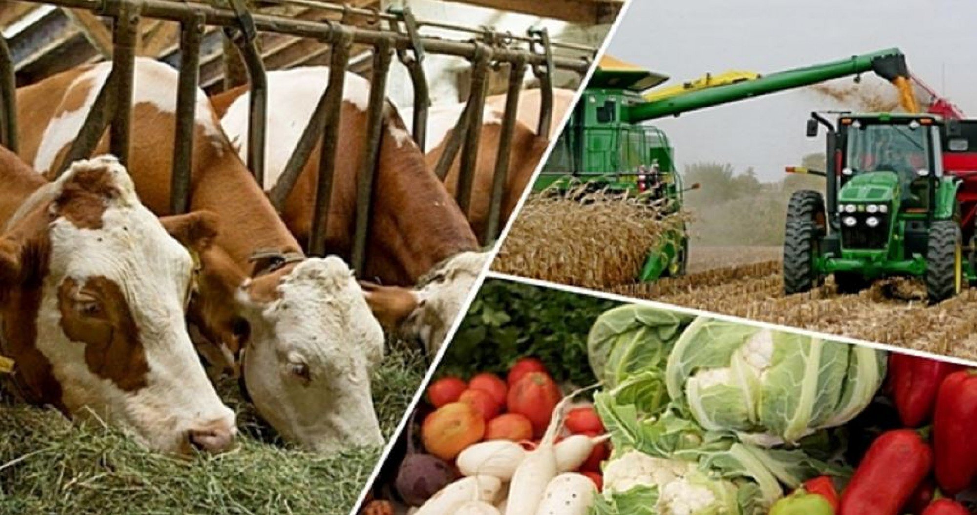 Ауыл шаруашылығын қолдау көлемі артады