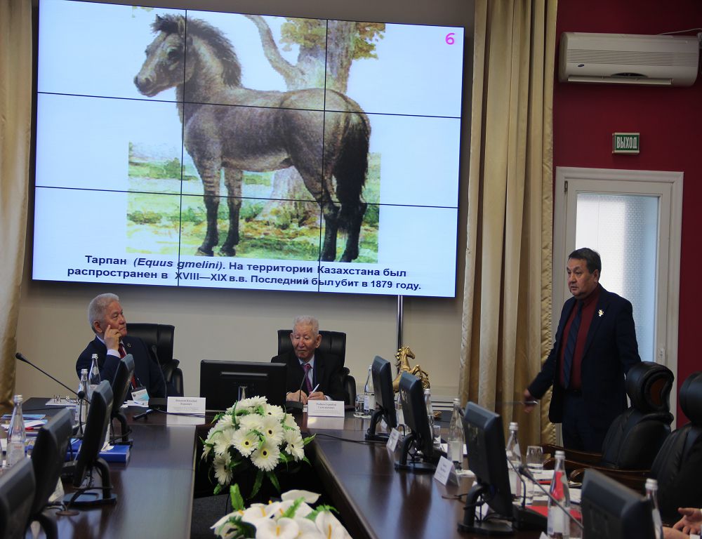 Қамбар ата түлігіне қолдау керек
