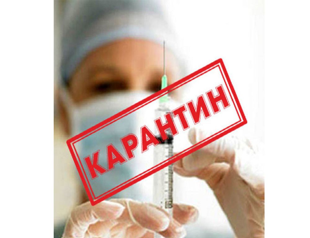 Өсімдік карантиніне өзгеше көзқарас қажет
