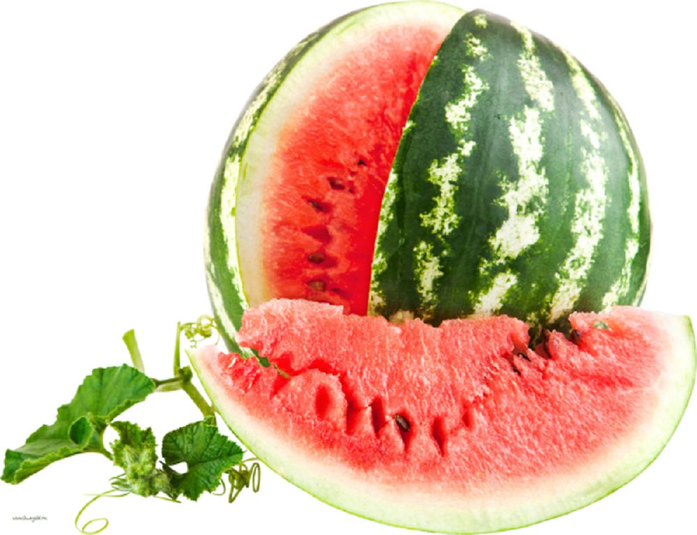 Әлемге айтылған алғыс (әңгіме)
