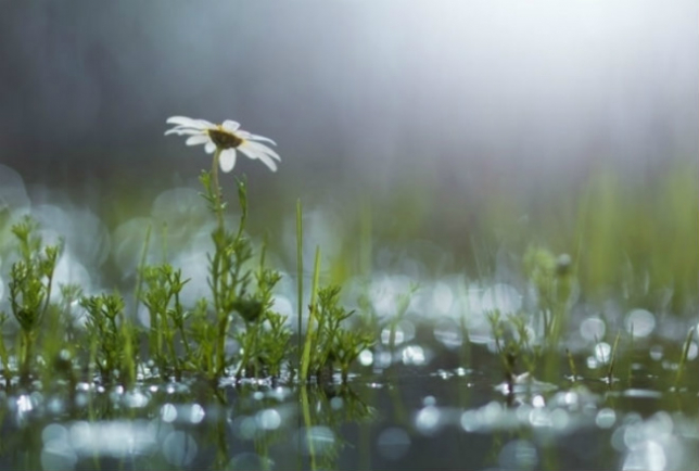 Демалыс күндеріне арналған ауа-райы болжамы 