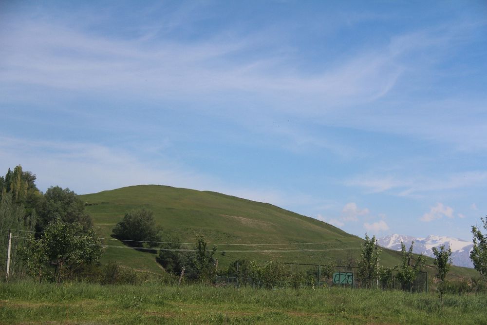 Түркістанды түгел билеген Еңсегей бойлы ер Есім бейнесі ел жадында