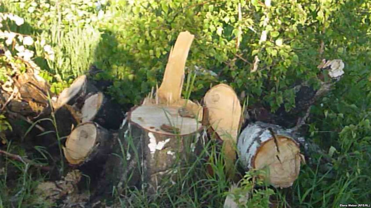 Орманды отауға жол берілмесін