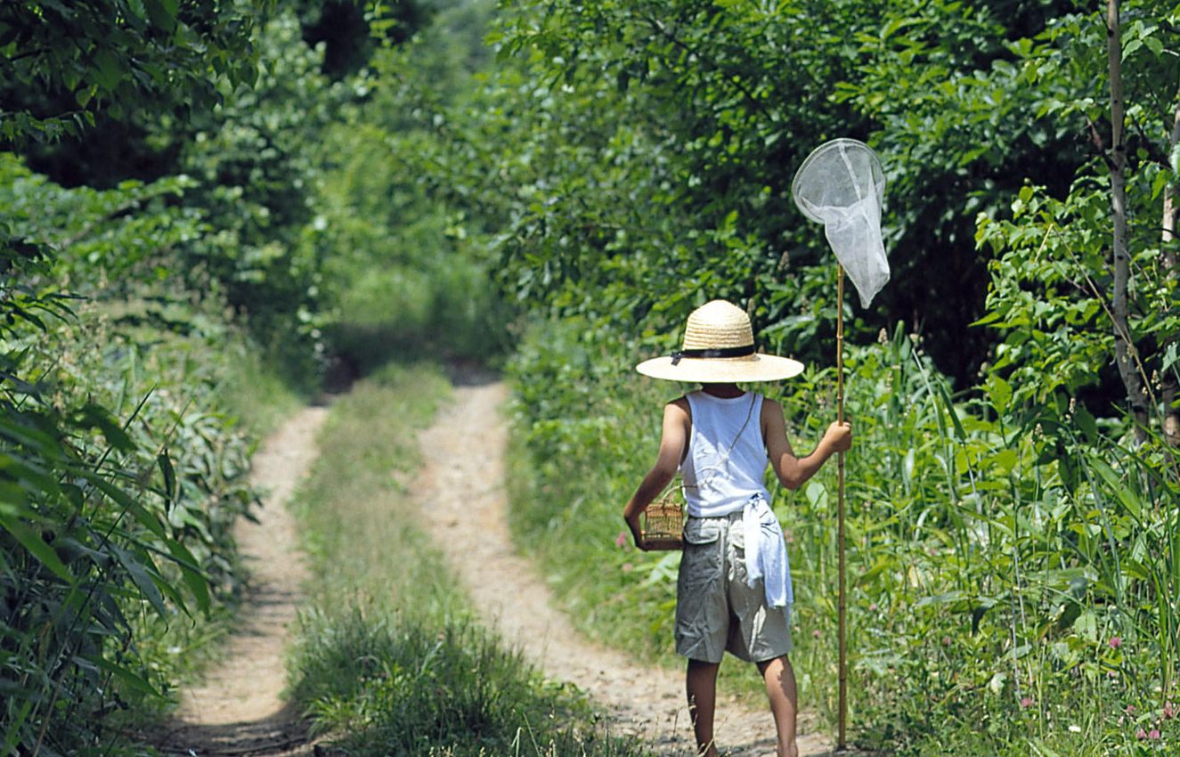 ШҚО оқушылары орманда демалады
