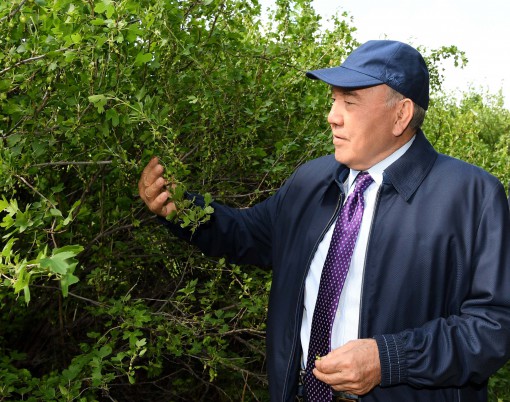 Елбасы Астананың «жасыл белдеуінің» нысандарын аралап көрді