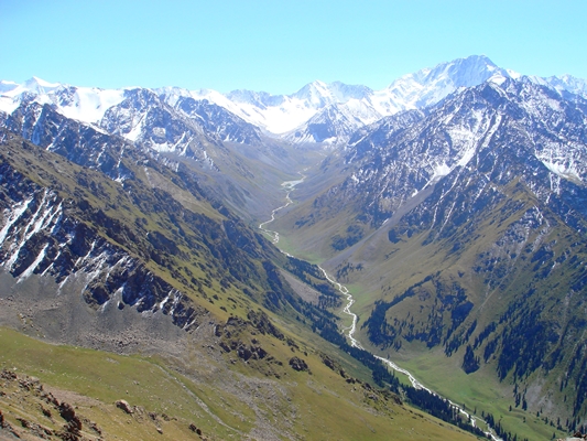 Қарашевтардың қарышты қадамы