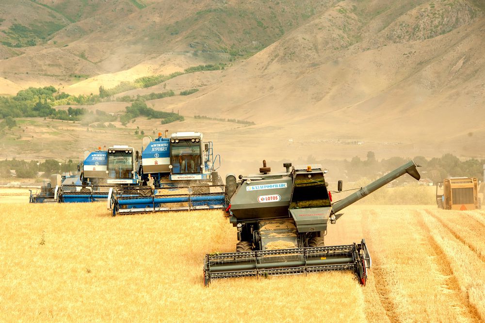 Егінге орақ түсті