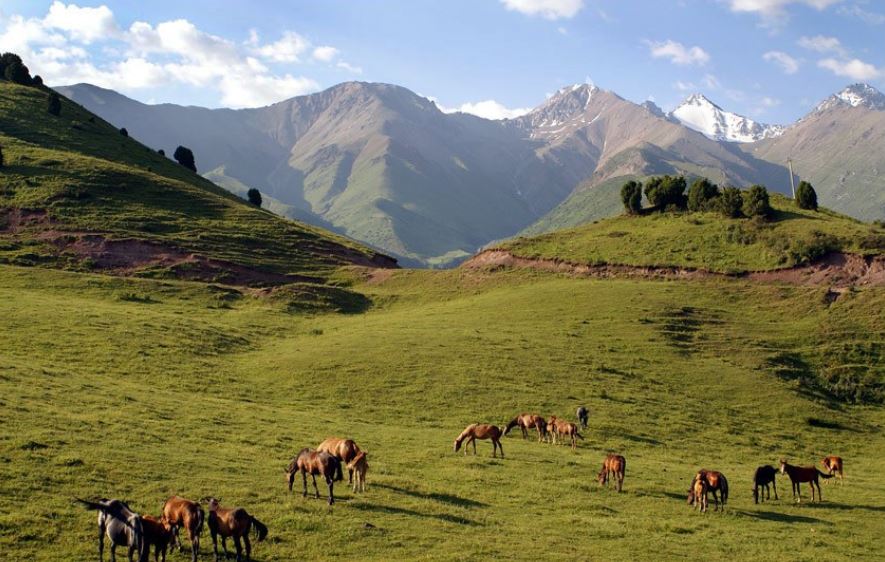 «Kazakh Tourism» компаниясы экспедиция ұйымдастырмақ