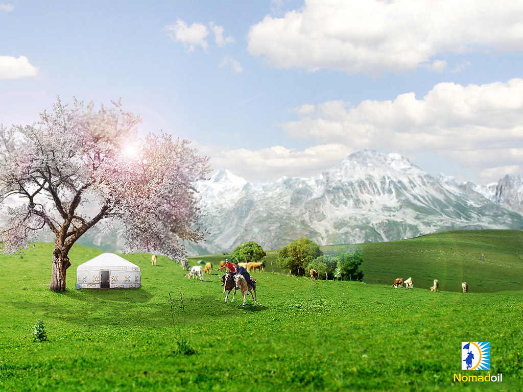 Ш. ЖЫЛҚЫБАЕВА. Мақал-мәтелдердегі ұлттық тәрбие