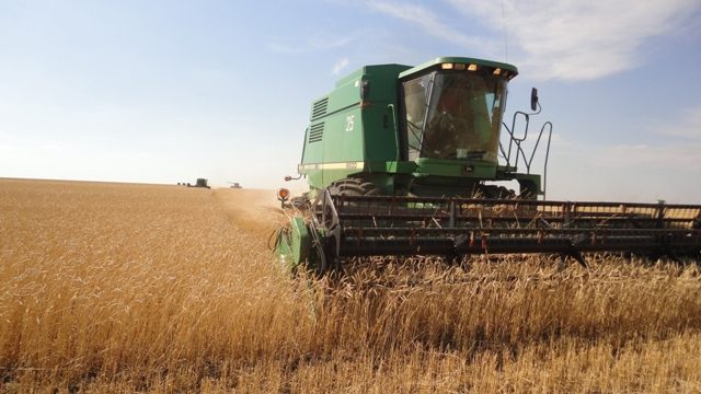 Шаруалардың базынасы бар