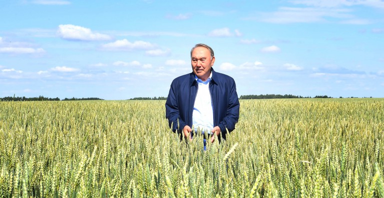 Барлық жағдай жасалатын солтүстік аймаққа көбірек келіңіздер – Мемлекет басшысы 
