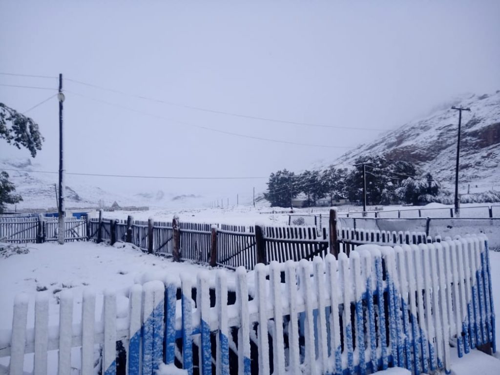 ШҚО-дағы Қайнар ауылына қар жауды