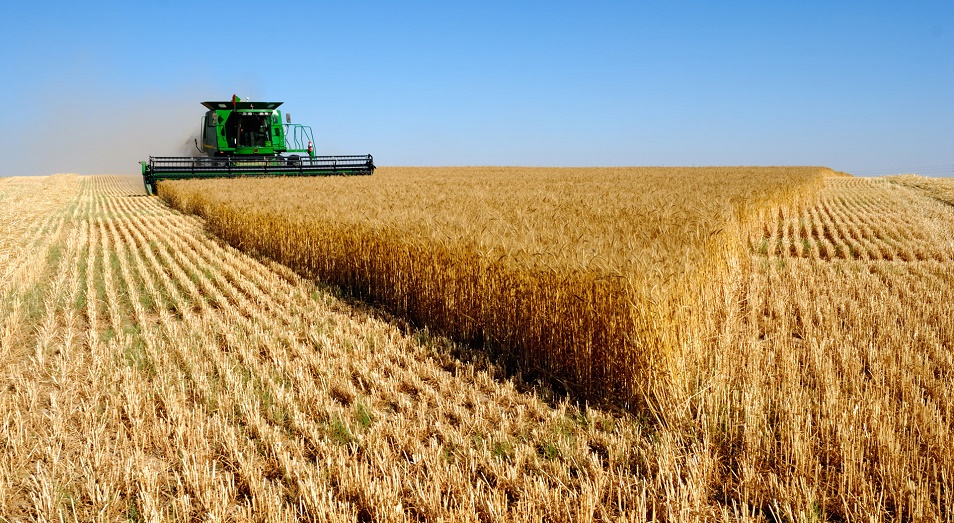 Тоғышарлық меңдеген ауыл