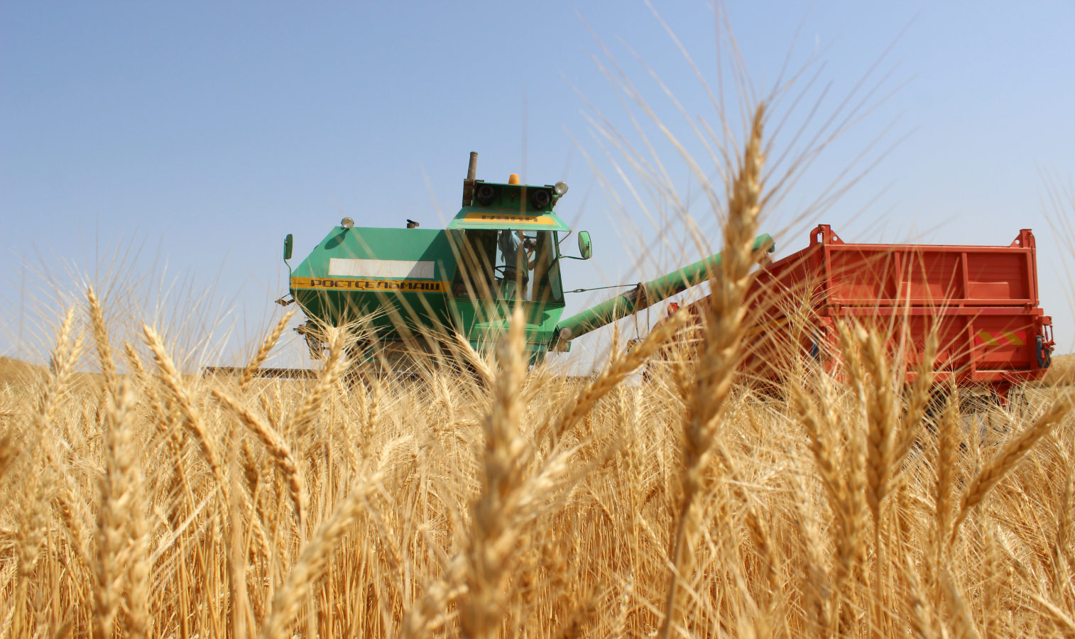 Ақтөбелік аграршылар 500 мың тоннадан астам бидай жинауды жоспарлап отыр