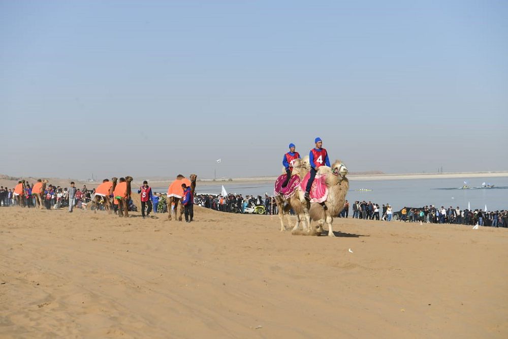 Шардара жағажайы шақырады