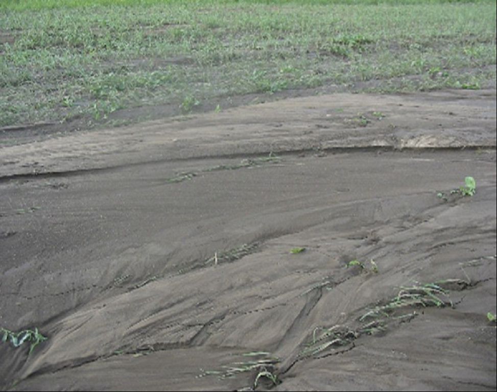 Тозған жерді тыңайтудың тиімді тәсілі
