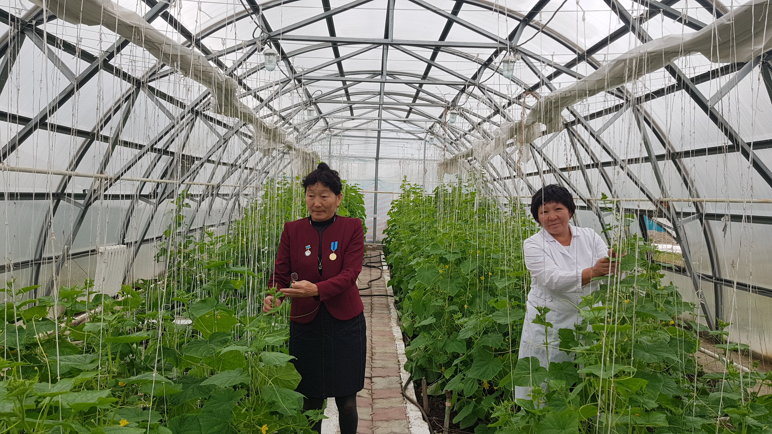 Шығыс Қазақстан облысында жылыжайы мен гүл сататын дүкені бар балабақша жұмыс істейді