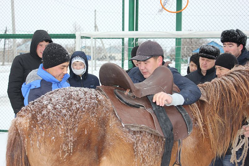 Жымпитыда атқа міну акциясы басталды