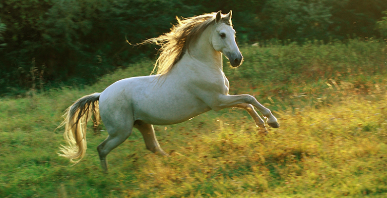 Сарыбелдің «саумалы» Ұлы даланың ұтымды жобасына айналды