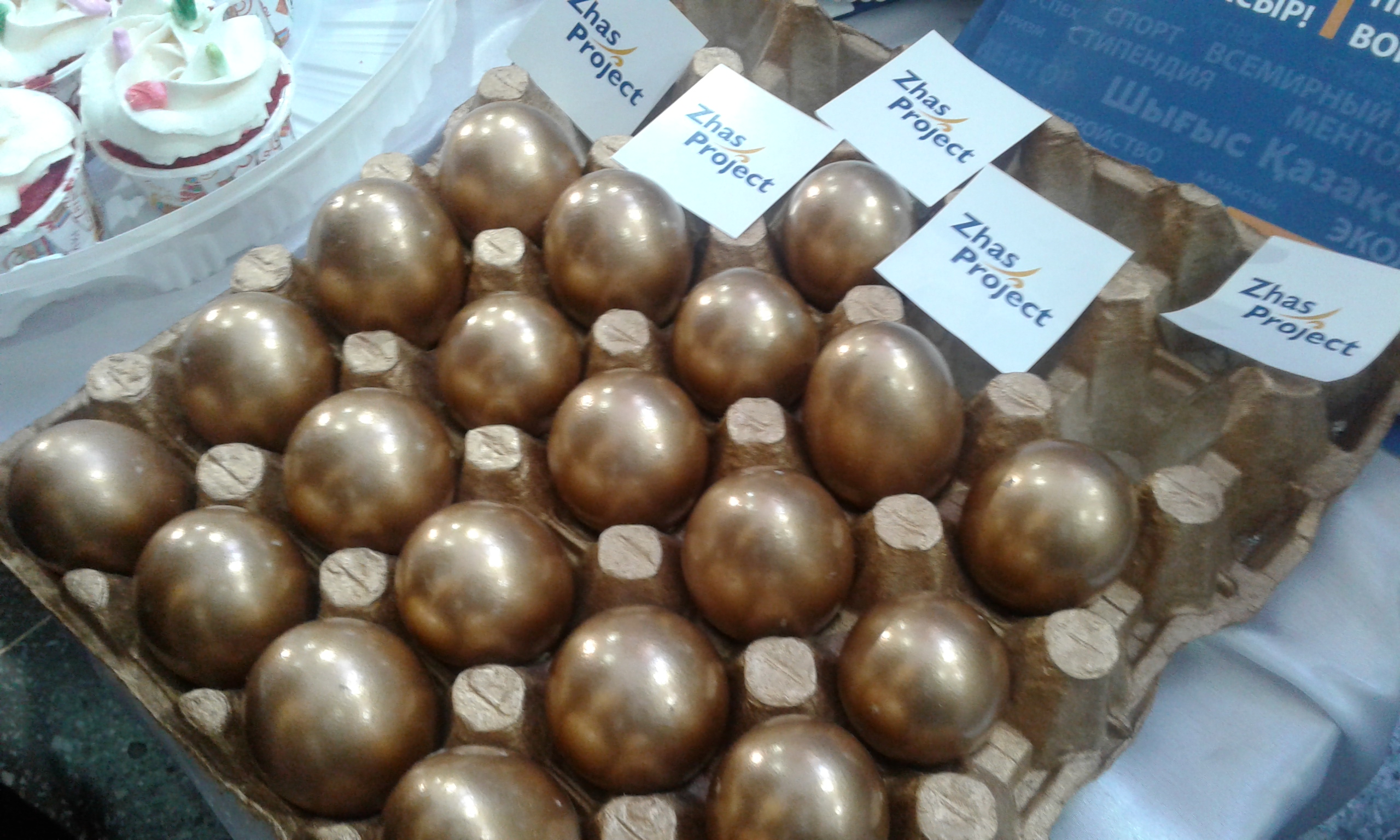 «Zhas projekt» форумында «Алтын жұмыртқа» мен «Ешкі сүтінің пайдасы» жобалары зор қолдауға ие болды