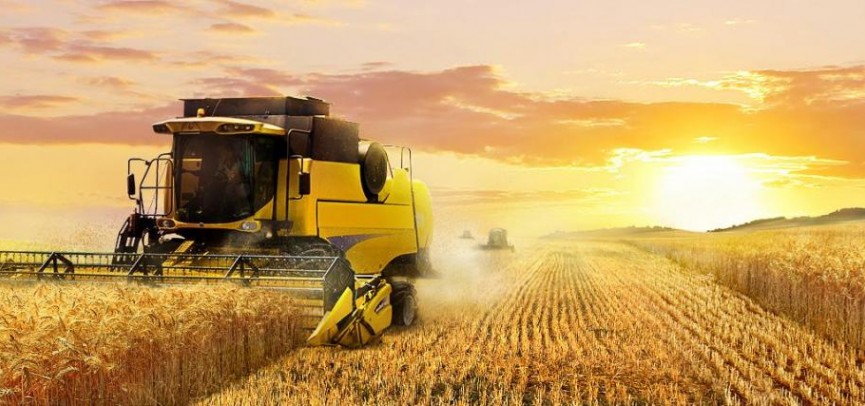 Кәсіпкер экономиканың тірегі болуы тиіс